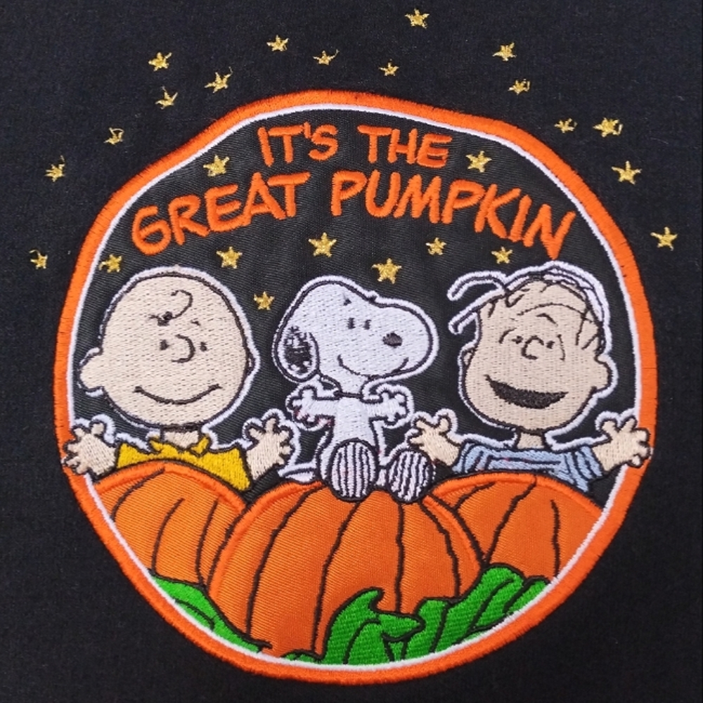 *RARE* Vintage Fall 90's Y2K Peanuts, The Great Pumpkin Unisex Sweatshirt Size L - Picture 4 of 9